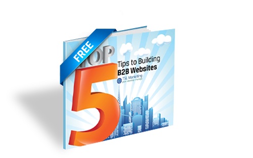The Five Essentials For Building B2B Websites