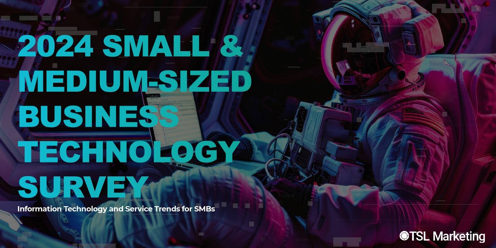 TSL_SMB Technology Survey 2024 Cover-min