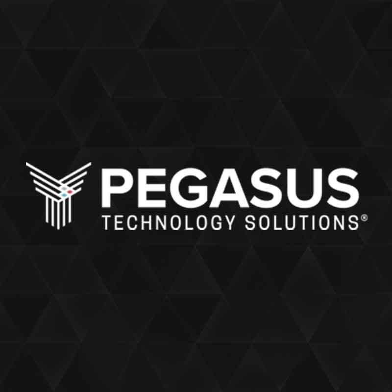tsl-success-stories-pegasus